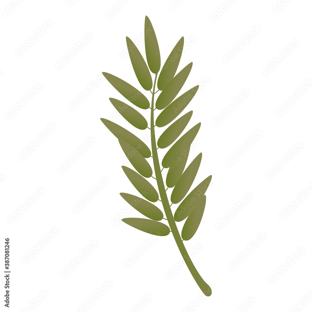Rowan green branch icon. Cartoon of rowan green branch vector icon for web design isolated on white background Rowan green branch icon. Cartoon of rowan green branch vector icon for web design isolated on white background