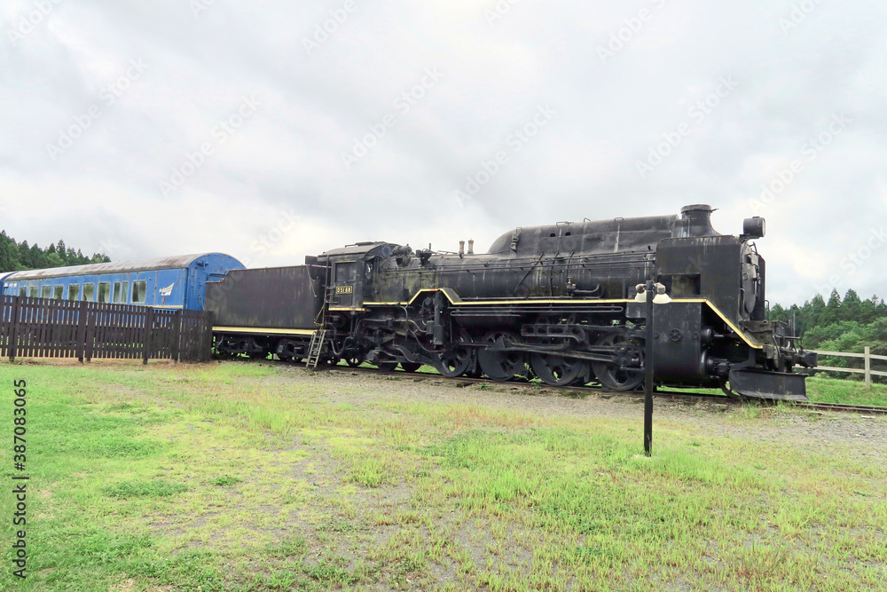 Naklejka premium D51形式蒸気機関車（小岩井農場）