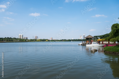 Landscape by the lake in the park