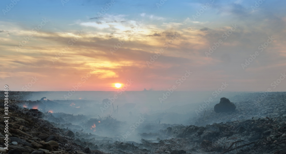 Coast with smoke after wildfire. Burnt wood on the shore at sunset