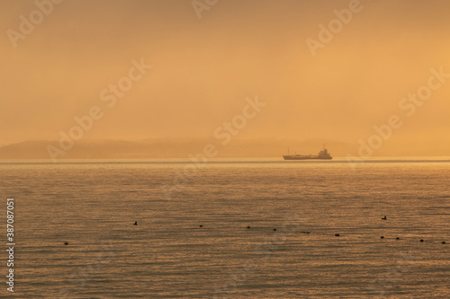 Tablou pe pânză The ship sails in the fog on the evening sea