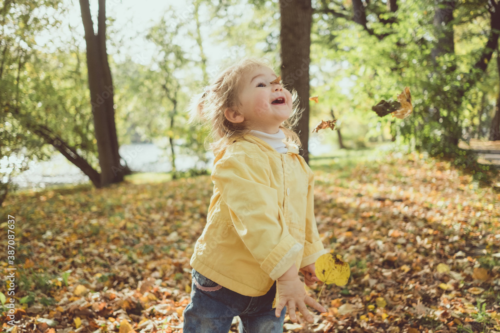 Baby girl playing with leaves in park in autumn close up Baby girl playing with leaves in park in autumn close up