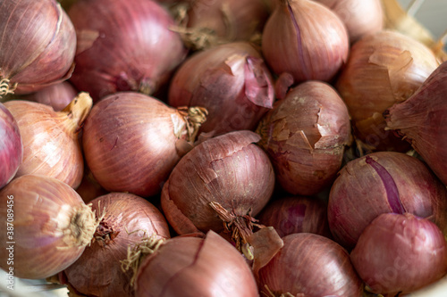 fresh organic onions in market