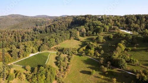 Weinanbau am Weinberg ökologische Landwirtschaft in Löwenstein