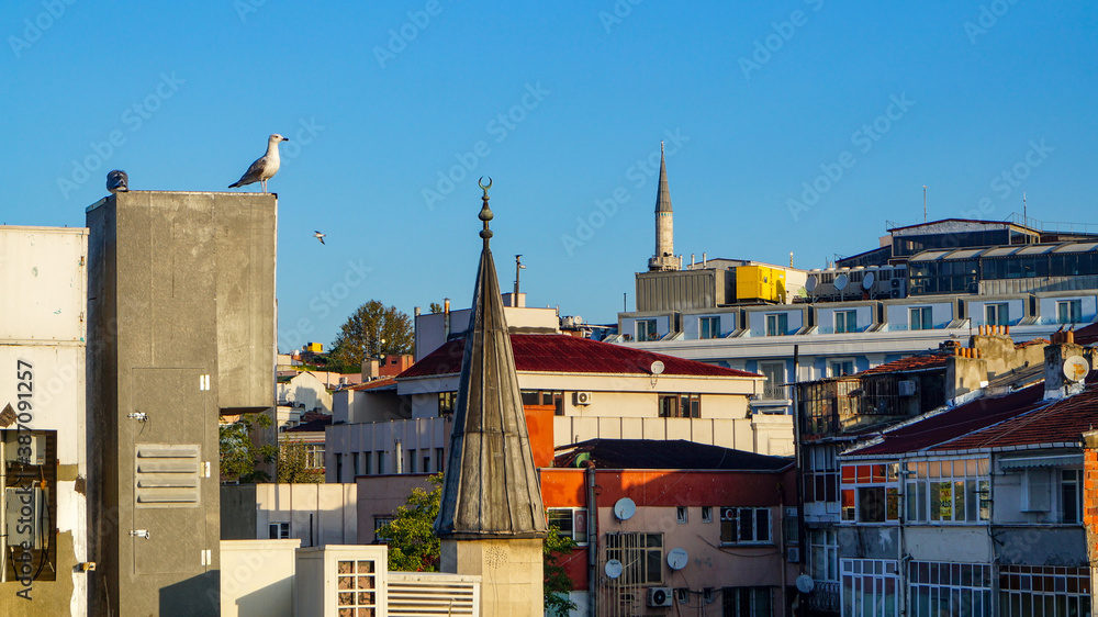 Morning Istanbul and downtown and Sea of Marmara views