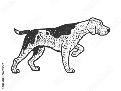hunting dog hound sketch raster illustration