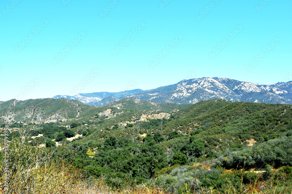 Obraz premium landscape with trees and mountains