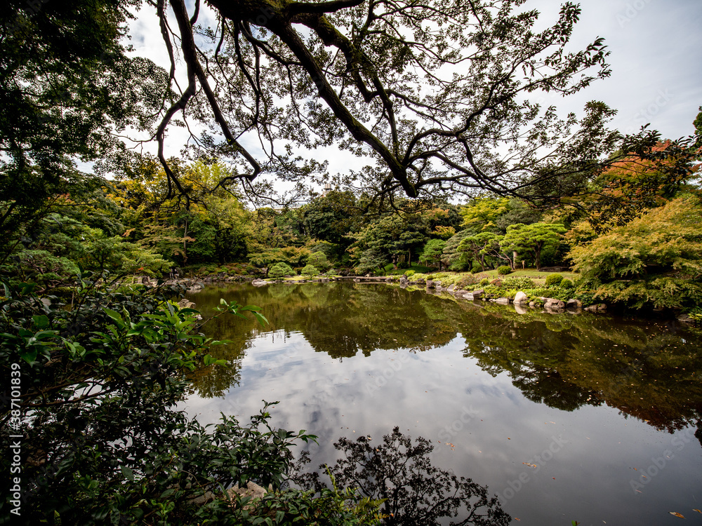 秋の日本の伝統的な庭園の風景　10月