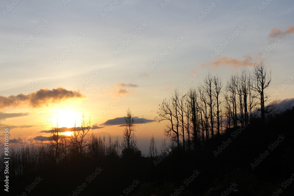 Fototapeta premium The sun rises Behind the trees silhouette