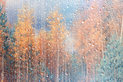 raindrops on glass, view through the window landscape autumn forest, park © kichigin19