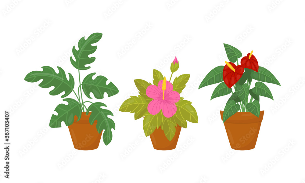 Obraz premium Flowers and Plants Growing in Ceramic Pots Vector Set