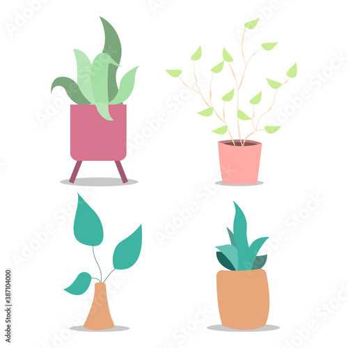 set of flat plant decorations vector illustration
