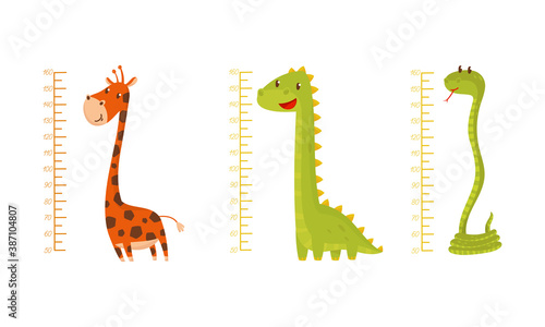 Height Chart for Kids with Funny Animals Vector Set