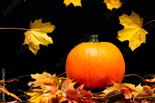autumn composition with decorative pumpkin maple leaves on dark background. Halloween concept