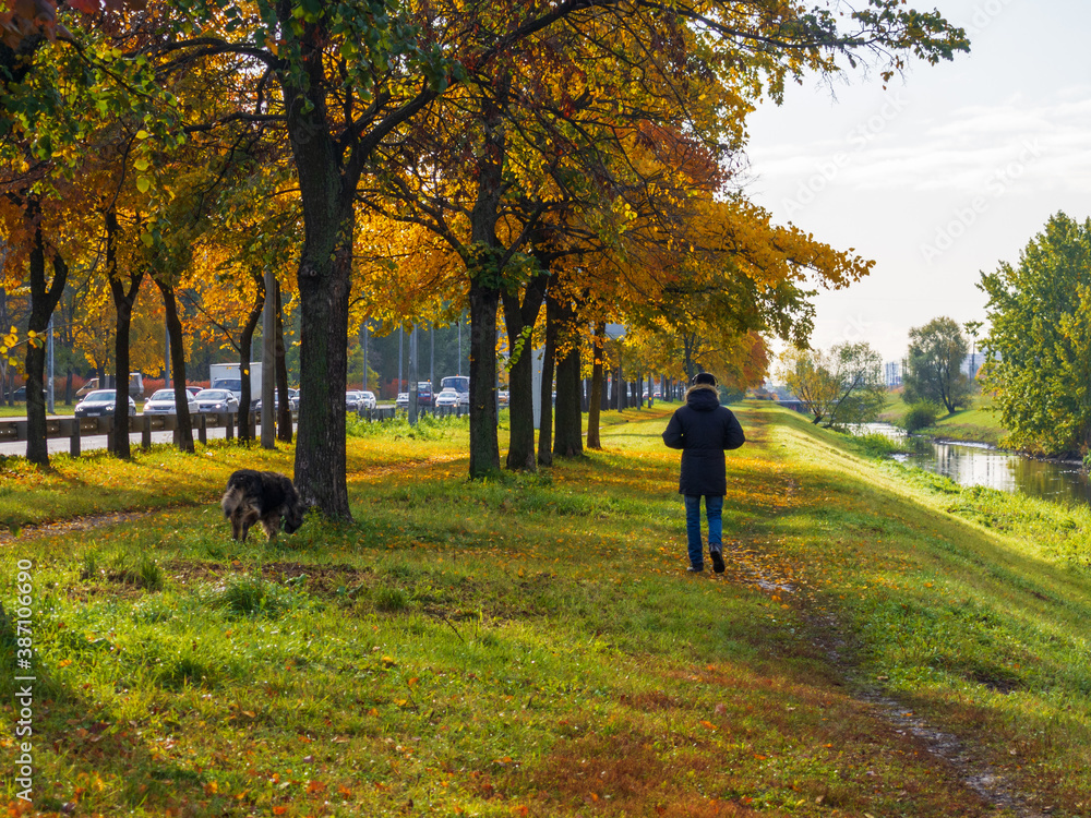 A man walking his dog down a trail surrounded by Fall colors.