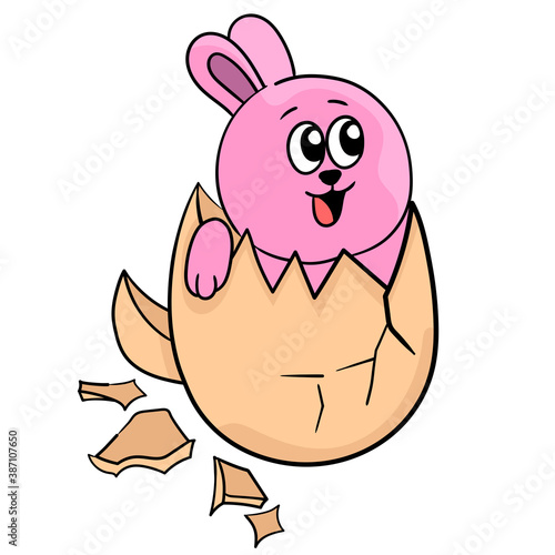 little rabbit came out of the egg shell