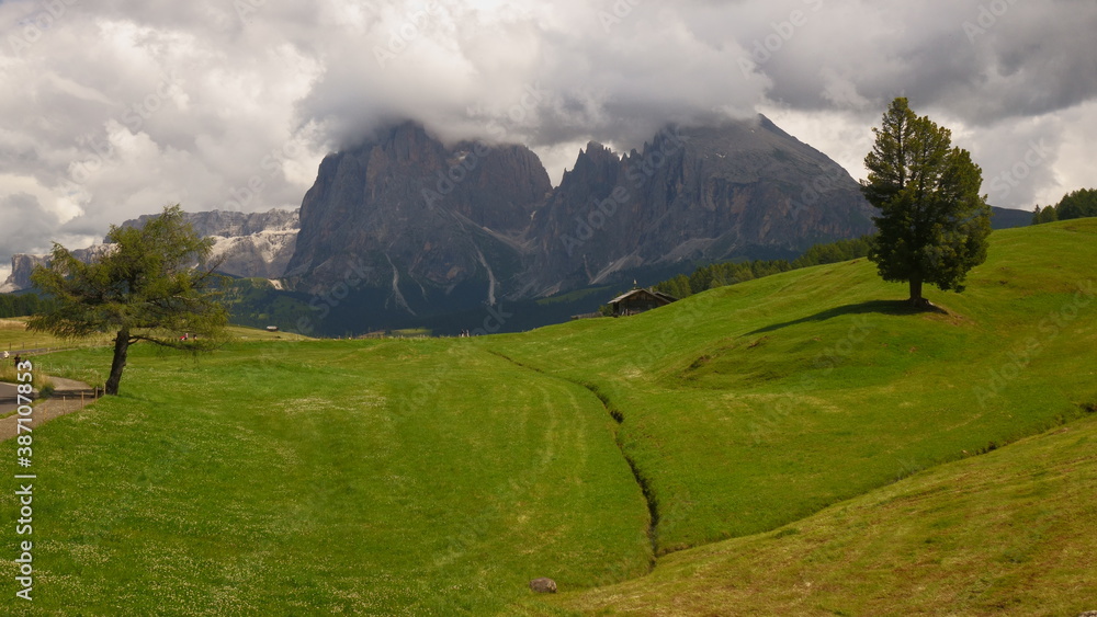 Alpe di Siusi - Dolomites, South Tirol, Italy. Sasso Piatto e Sasso Lungo. 