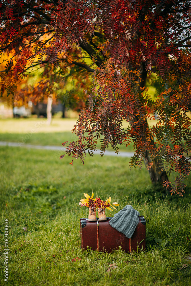 Old brown boots with leaves inside. Boots and brown vintage suitcase in autumn forest. Shoes with foliage, knitted throw and leather suitcase. Autumn coziness, yellow and red foliage.