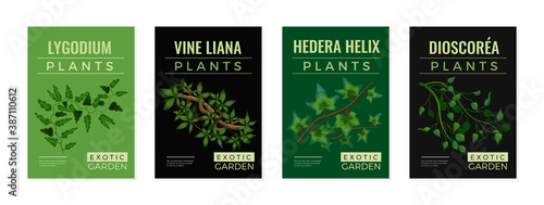 Tropical Lianas Posters Set 