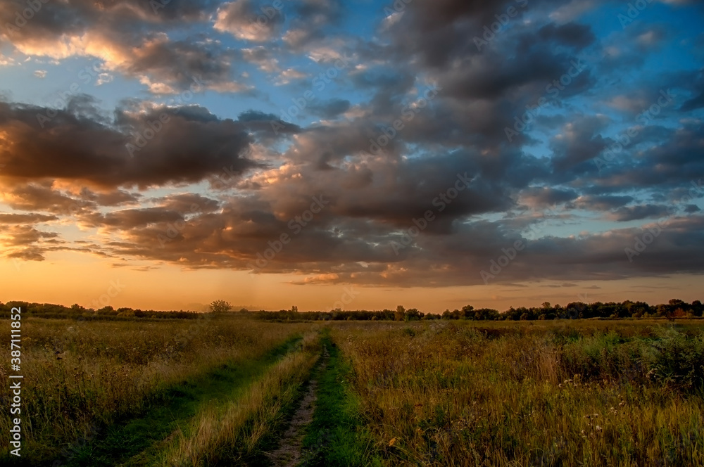 sunset in the field