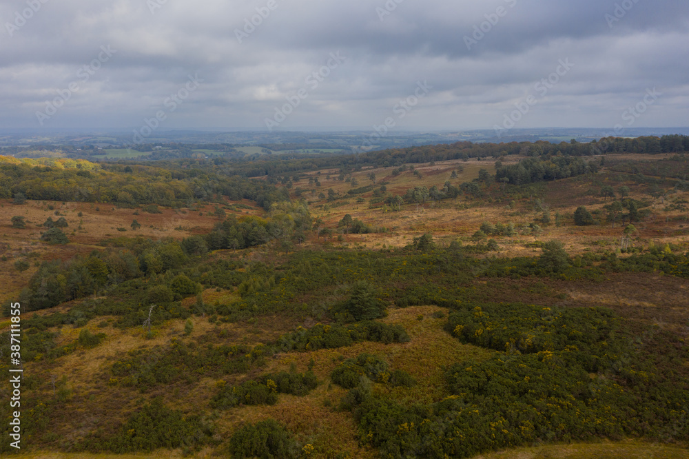 Aerial View Of Ashdown Forest - Sussex