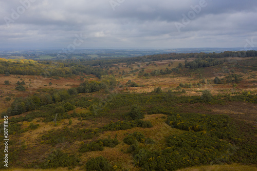 Aerial View Of Ashdown Forest - Sussex © Will