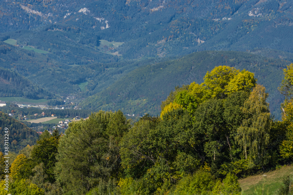 Obraz premium trees and green mountains in spring while hiking