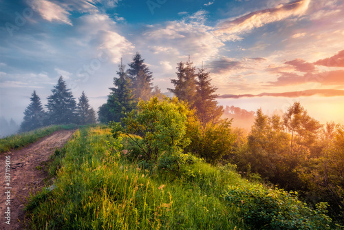 First sunlight glowing mountain valley at June. Astonishing summer scene of Carpathian mountains, Stebnyi village location, Ukraine, Europe. Beauty of nature concept background..