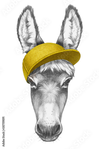 Portrait of Donkey with a cap. Hand-drawn illustration. Poster Mural XXL