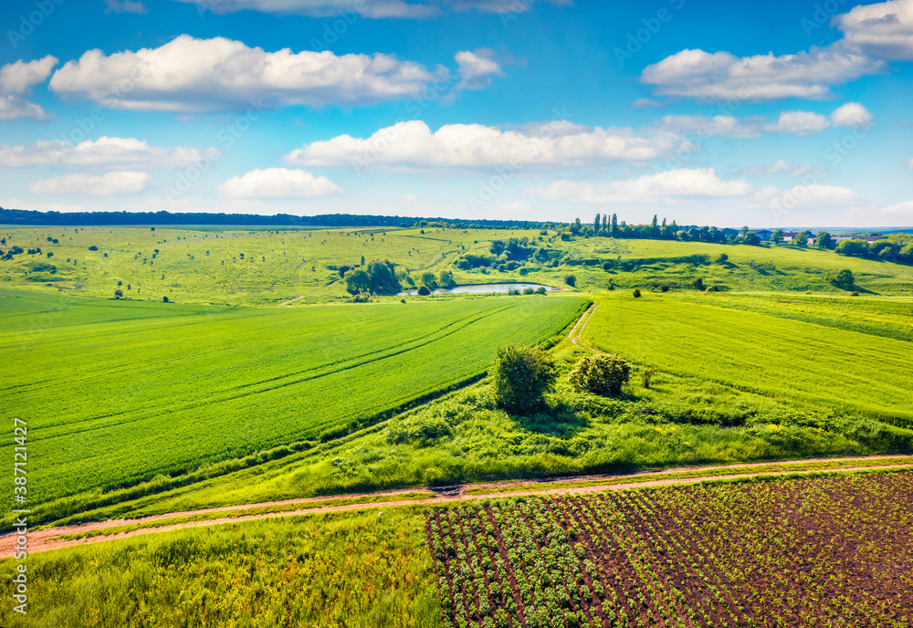 Obraz premium View from flying drone of Pochapyntsi pond and village. Incredible summer scene of Ukrainian countryside, Ternopil region, Ukraine. Aerial view of fields of potato. Traveling concept background.