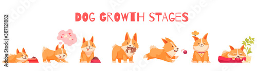 Dog Growth Stages Composition