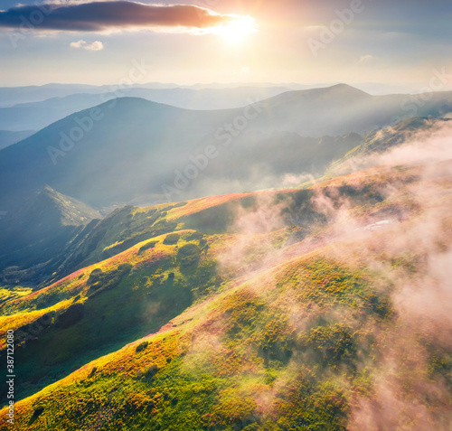 First sunlights glowing foggy mountain hills and valleys. Picturesque summer scene of Carpathian mountains with Homula mount on background  Ukraine  Europe. Beauty of nature concept background.