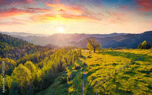 View from flying drone. First sunlight glowing mountain valley at June. Astonishing summer scene of Carpathian mountains, Dzembronya village location, Ukraine, Europe. photo
