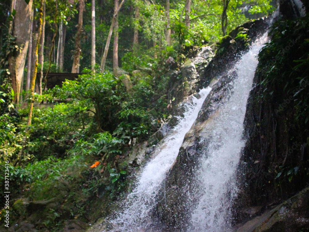 Fototapeta premium Waterfall