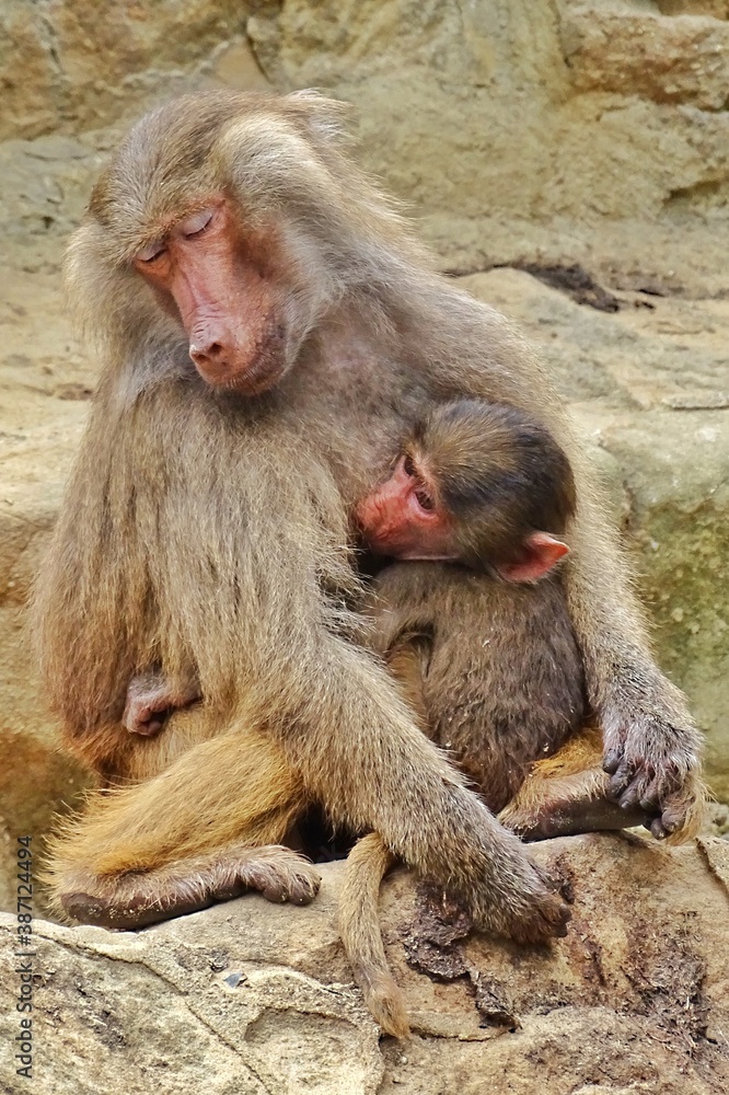 mother and baby