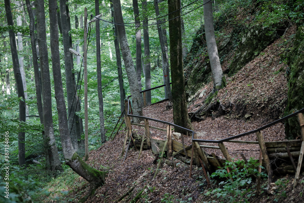 Abandoned and old wooden hiking trails on an old forest in Romania Abandoned and old wooden hiking trails on an old forest in Romania