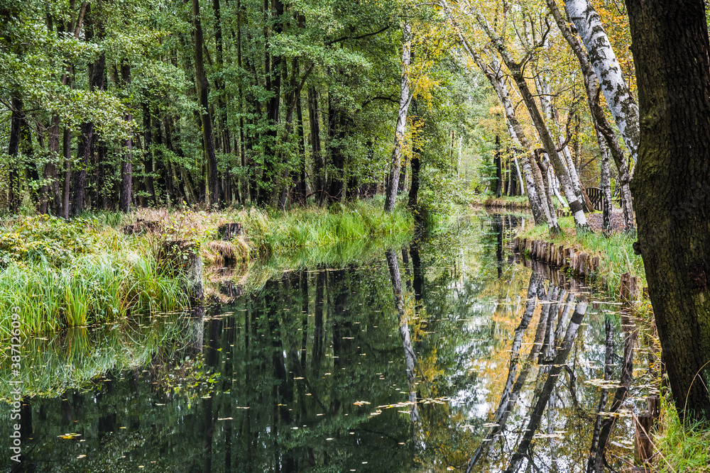 Water canal with reflections in the biosphere reserve Spree forest (Spreewald) in autum in the state of Brandenburg, Germany.