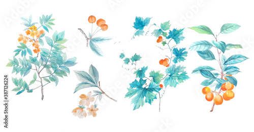 hand drawn illustration of leaves