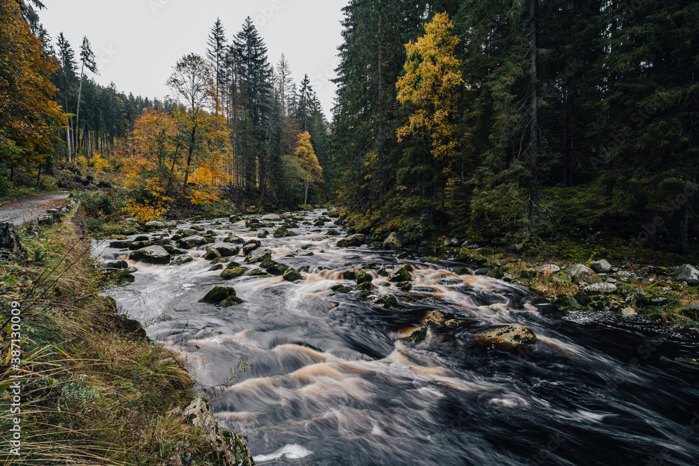 Autumn view of a river in Alaska like forest. Wild creek or river in the middle of autumn forest. Mountain stream with cascades and waterfalls. Deep mountian woods. Sumava national park, Vydra river. Autumn view of a river in Alaska like forest. Wild creek or river in the middle of autumn forest. Mountain stream with cascades and waterfalls. Deep mountian woods. Sumava national park, Vydra river.