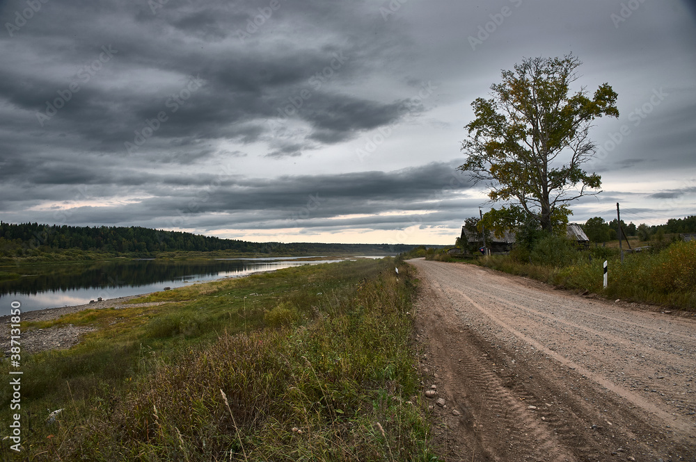 Rural gravel road in the forest Rural gravel road in the forest
