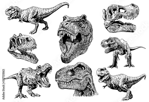 Graphical set of tyrannosauruses isolated on white background,vector illustration