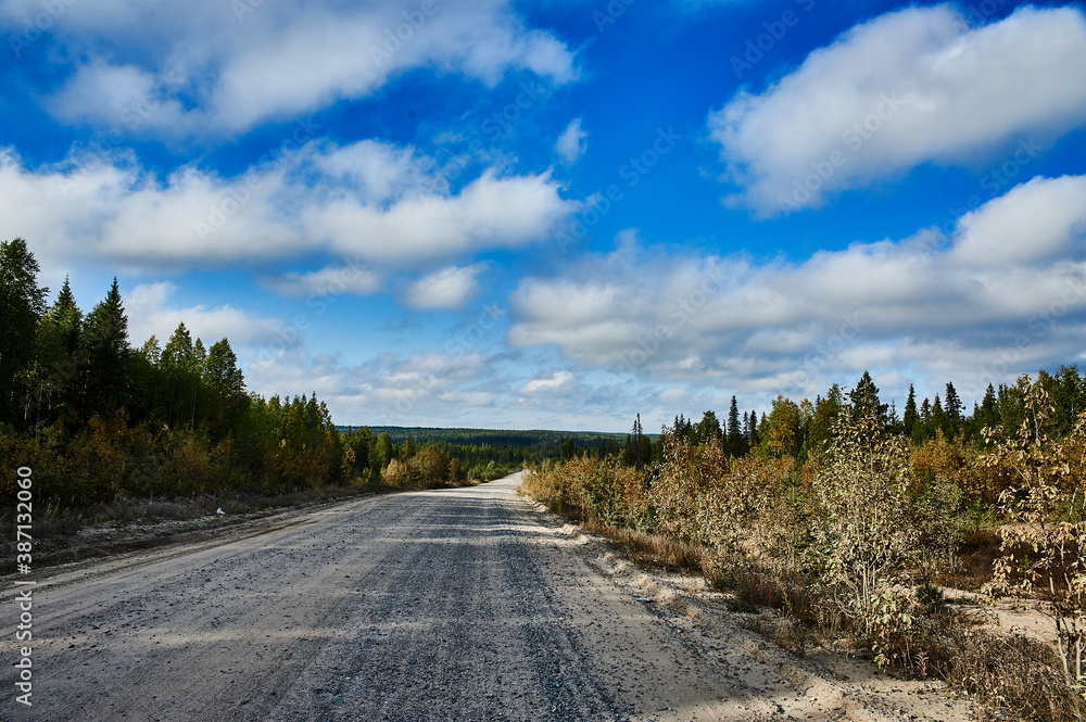 Rural gravel road in the forest