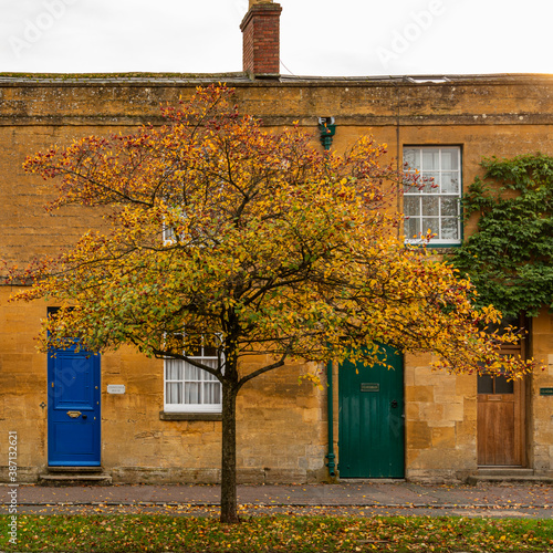 Autumn tree outside Cotswold houses, Moreton in Marsh UK