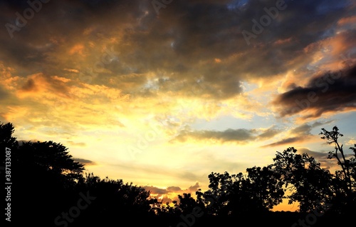 Vibrant Yellow Sky, Sunset photography, Landscape southern Highlands NSW Australia