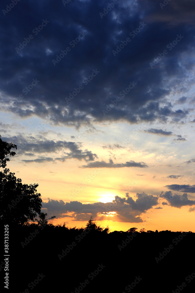 Vibrant Yellow Sky, Sunset photography, Landscape southern Highlands NSW Australia Vibrant Yellow Sky, Sunset photography, Landscape southern Highlands NSW Australia