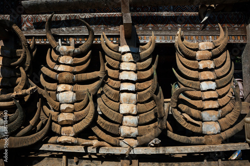Some buffalo horns hung in a vertical array at the entrance of a tongkonan, Torajan traditional ancestral house, in Paku, Sulawesi, Indonesia