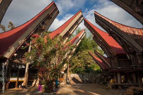 Two rows of tongkonans, traditional ancestral houses, in Ma'dong village, Tana Toraja, Sulawesi, Indonesia
