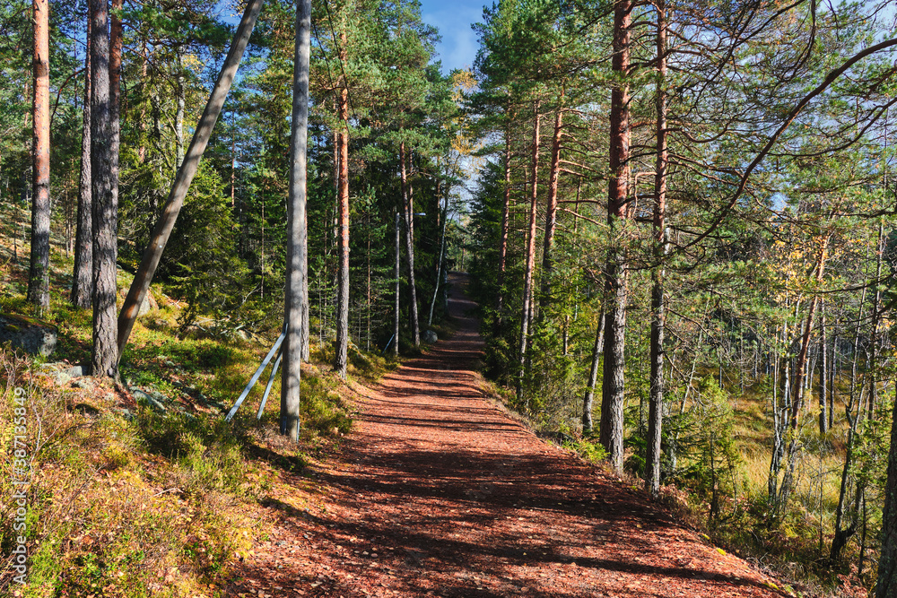 Hiking trail in Nuuksio National Park, Finland.