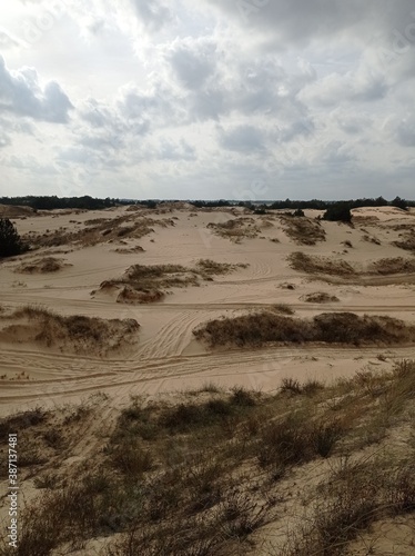 sand dunes and sea