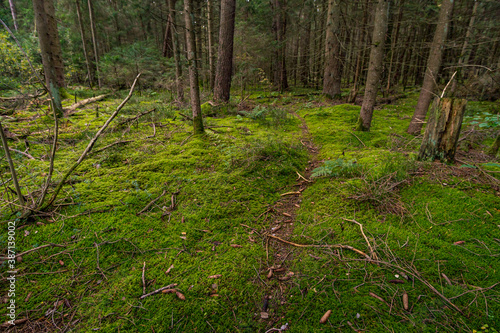 Fantastic hike in the Schrecksee nature reserve in Upper Swabia